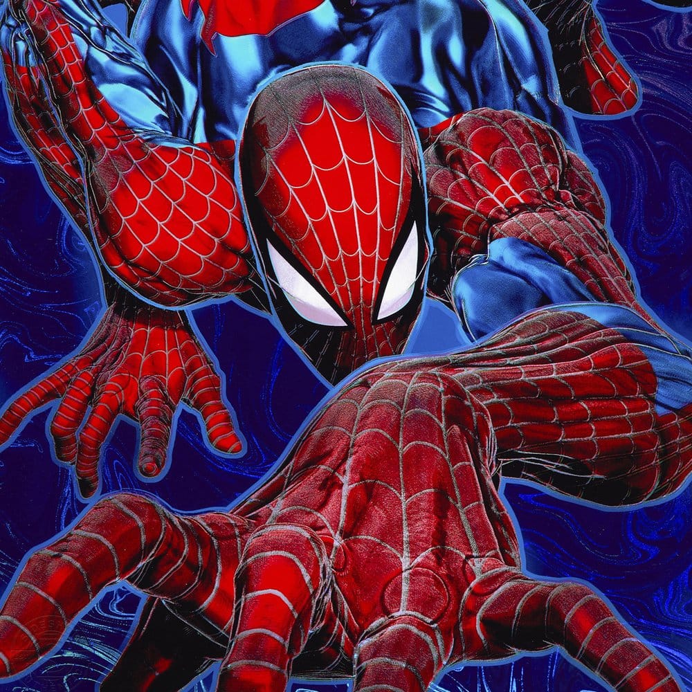 Marvel Litografia Spider-Man '94 61 x 41 cm - sin marco