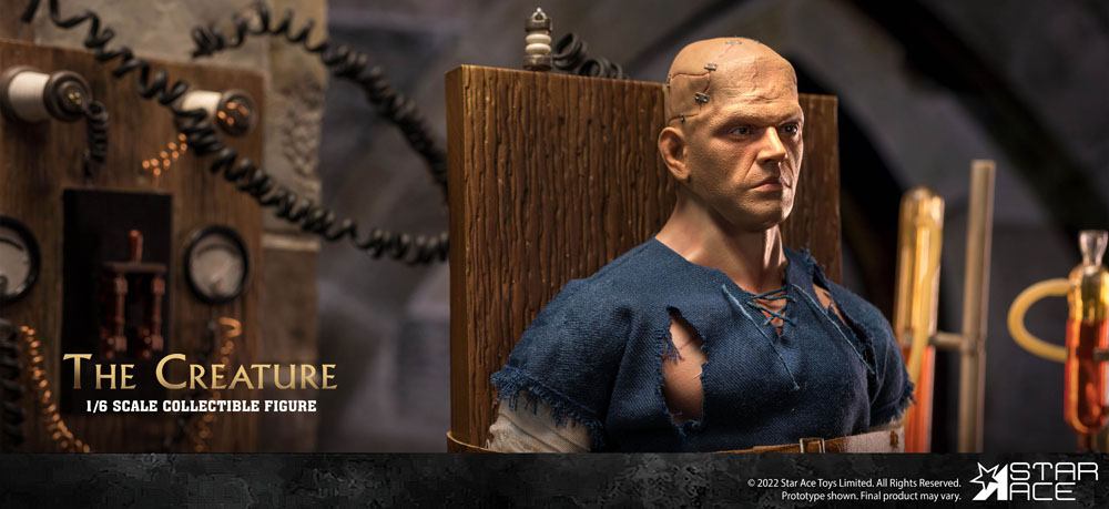 El horror de Frankenstein My Favourite Movie Figura 1/6 The Creature 30 cm