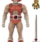 Thundercats DELUXE Figura Wave 04 Lion-O (Mirror)