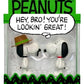 Peanuts ReAction pack de 2 Figuras Snoopy & Spike 10 cm