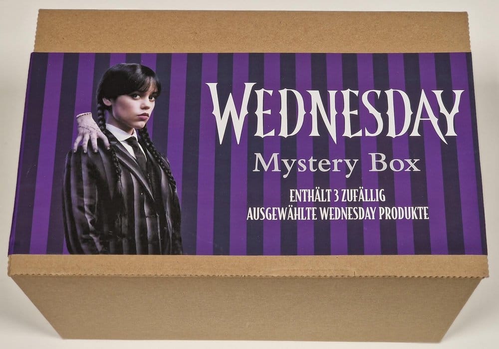 Wednesday Set de regalo