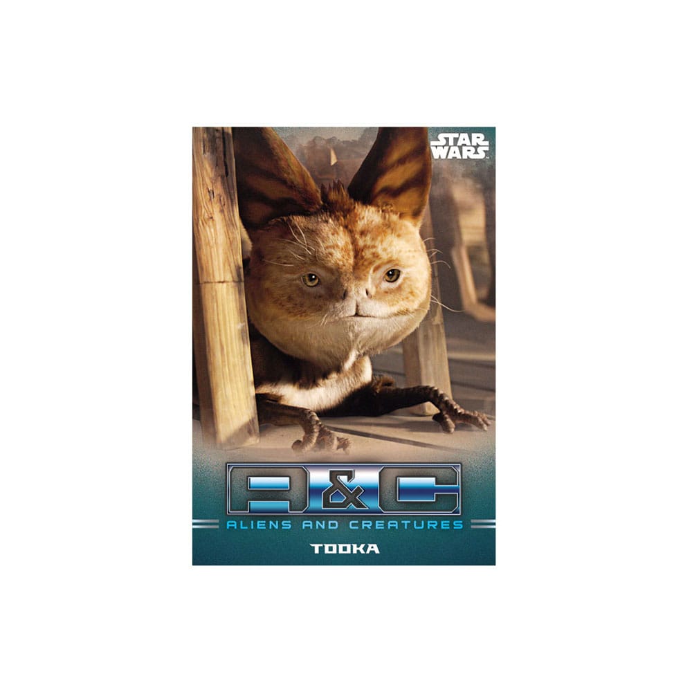Star Wars: The Mandalorian Trading Cards Pack de inicio *Edición inglés*
