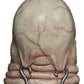 Hellraiser Máscara Butterball