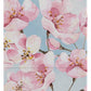 Ultimate Guard RTE Boulder 100+ Floral Places - Cherry Blossom