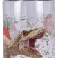 Jurassic World Botella Drink Up 450ml