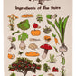 El Señor de los Anillos Paños de cocina Ingredients of The Shire (Tales of the Shire (2025)) 69 cm