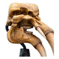 El Señor de los Anillos Estatua Skull of a Mumak 15 cm - Z POP Toys