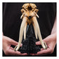 El Señor de los Anillos Estatua Skull of a Mumak 15 cm - Z POP Toys
