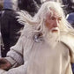 El Señor de los Anillos Figures of Fandom Estatua PVC Gandalf el Blanco 23 cm