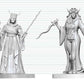 Dungeons & Dragons Nolzur's Marvelous Miniatures Miniatura sin pintar Fanático cultista & Hierofante 14 cm