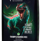 Magic the Gathering Mazos de Commander de Cimientos Caja (5) inglés